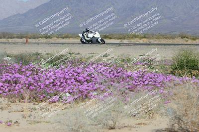 media/Feb-04-2023-SoCal Trackdays (Sat) [[8a776bf2c3]]/Turn 15 Inside Blooming (1050am)/